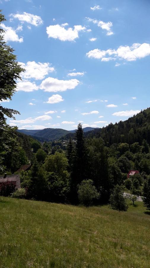 Ferienwohnung Am Wald Bad Herrenalb Luaran gambar